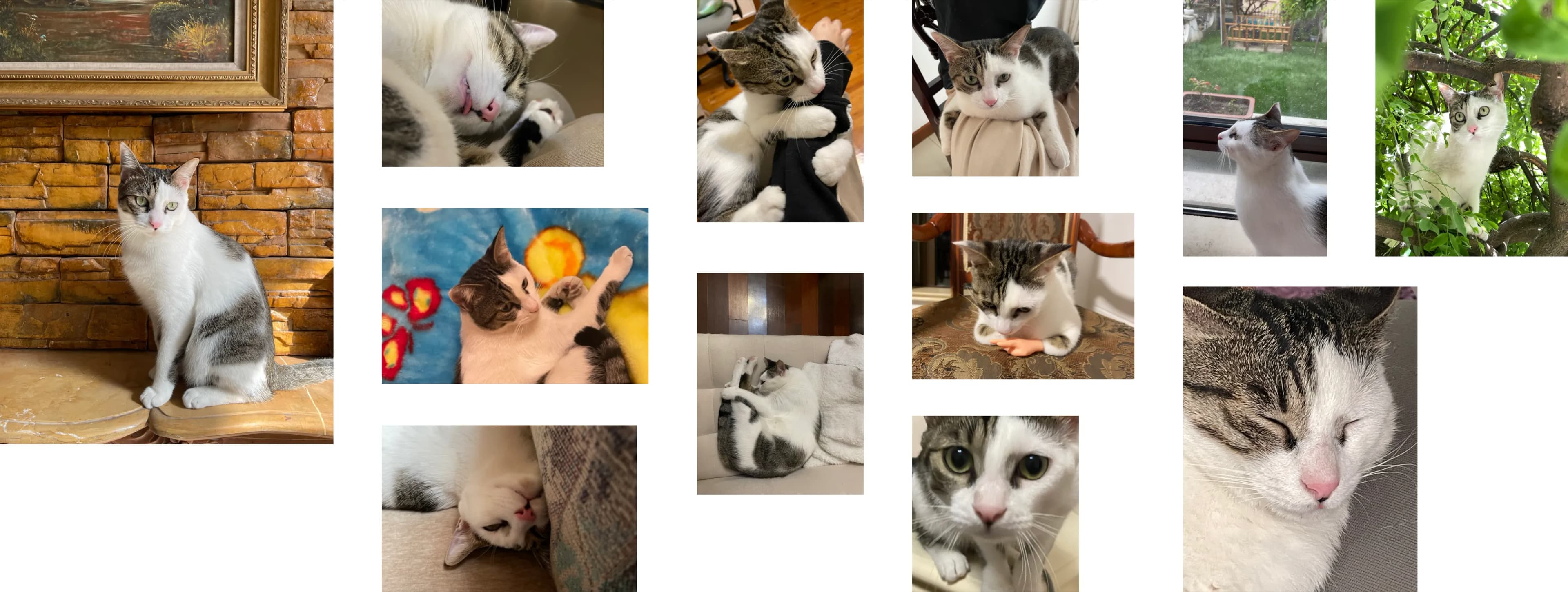 good lighting and many angles!