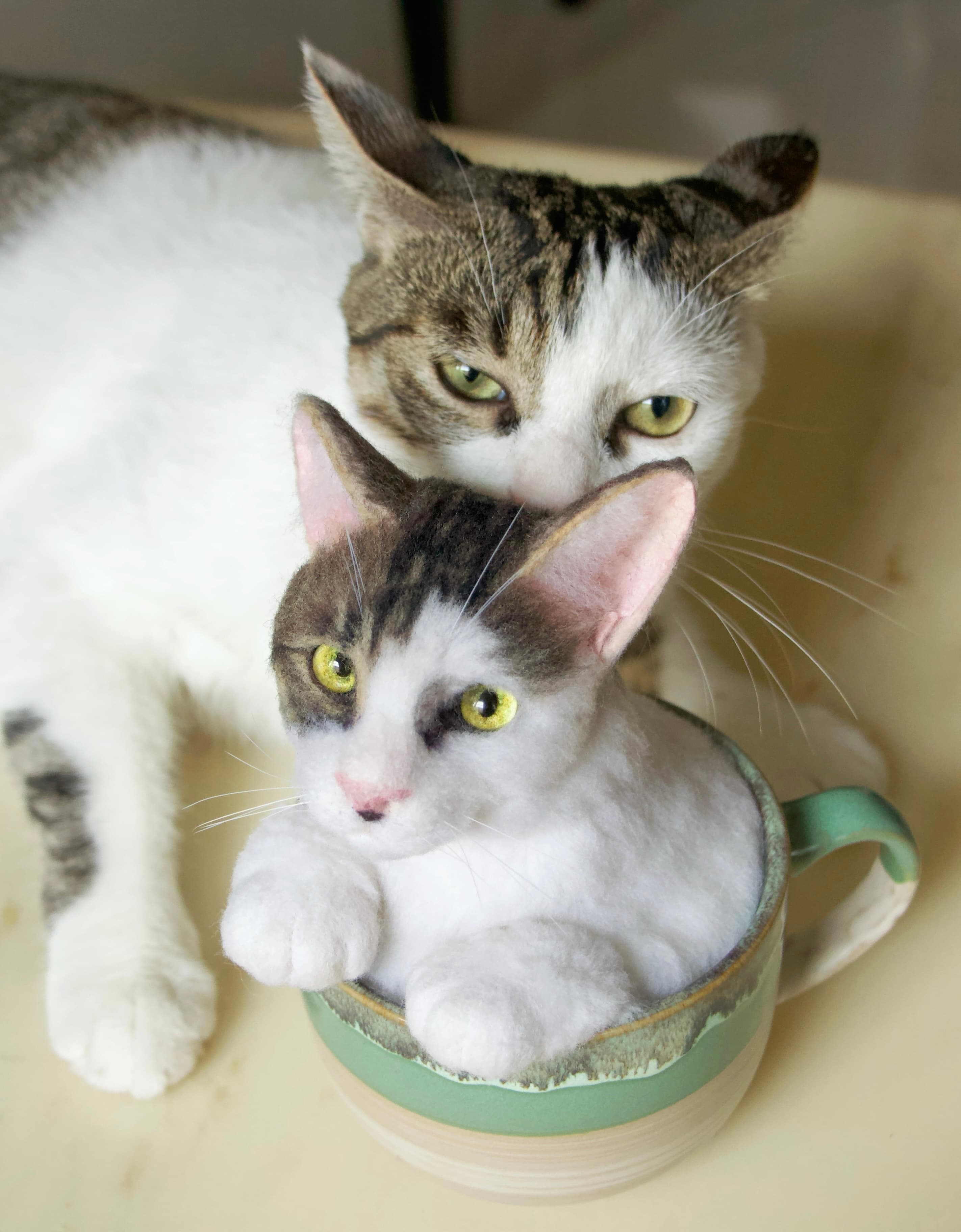 cup cat sculpture of felted pet