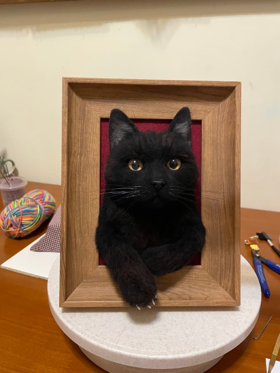 Black cat framed portrait