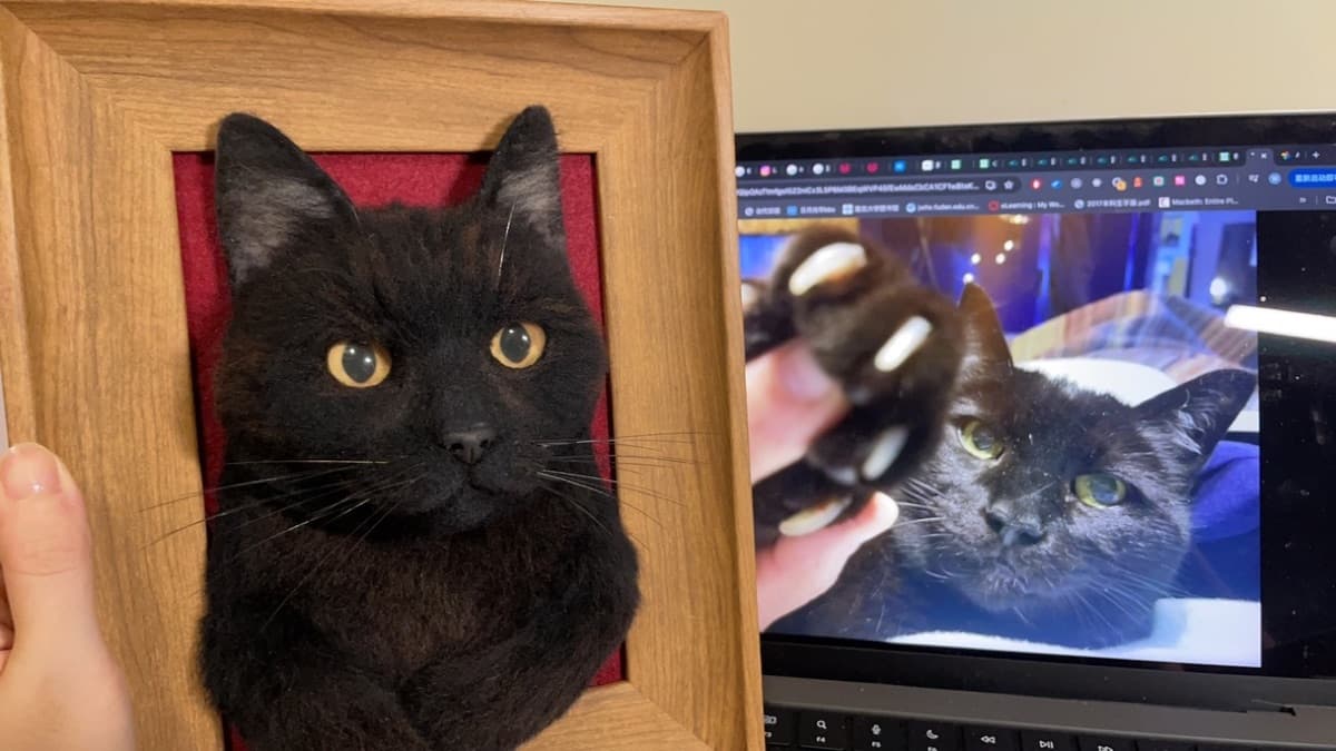 Black cat framed portrait with reference photo