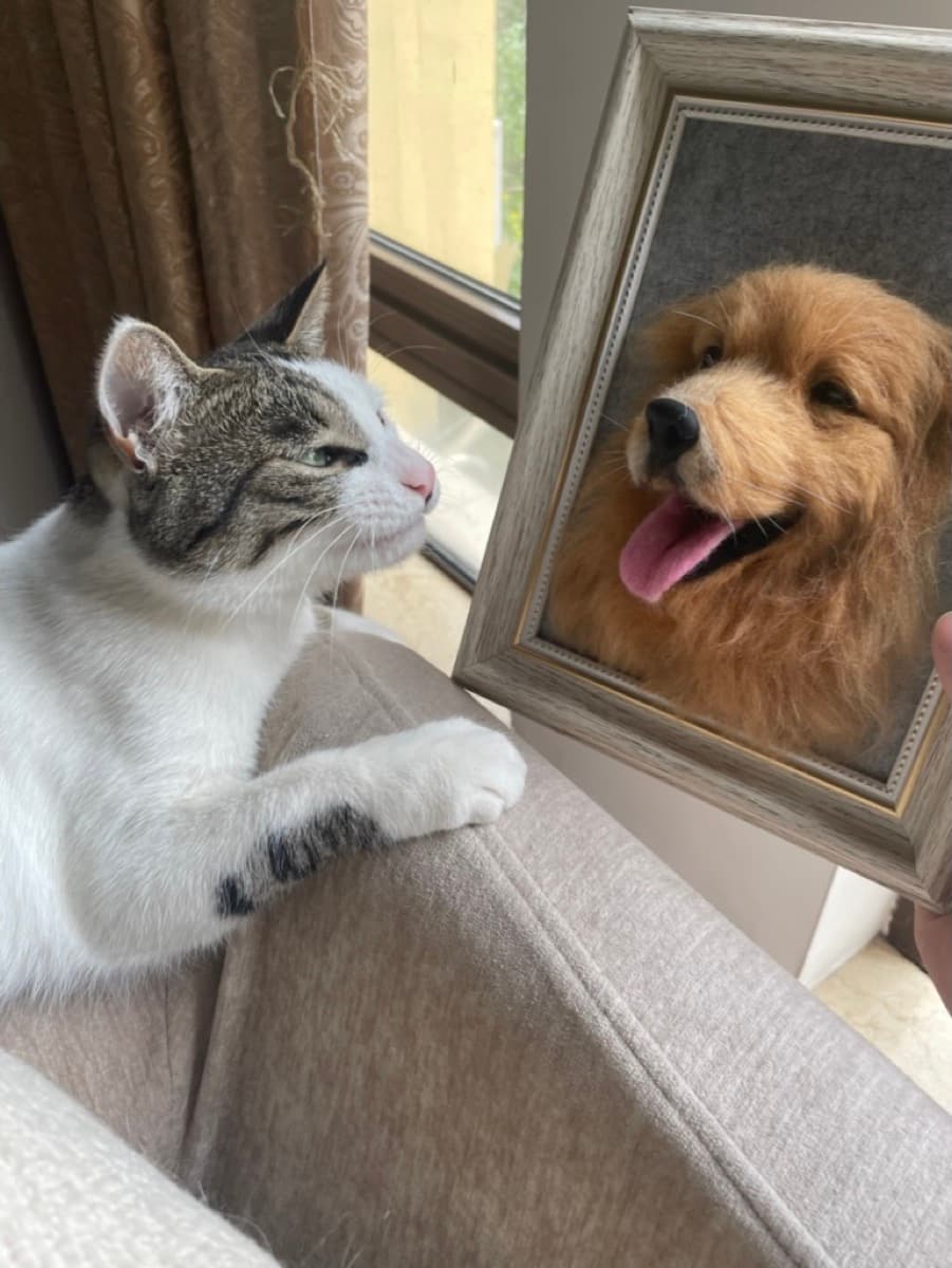 Cat looking at golden retriever framed portrait