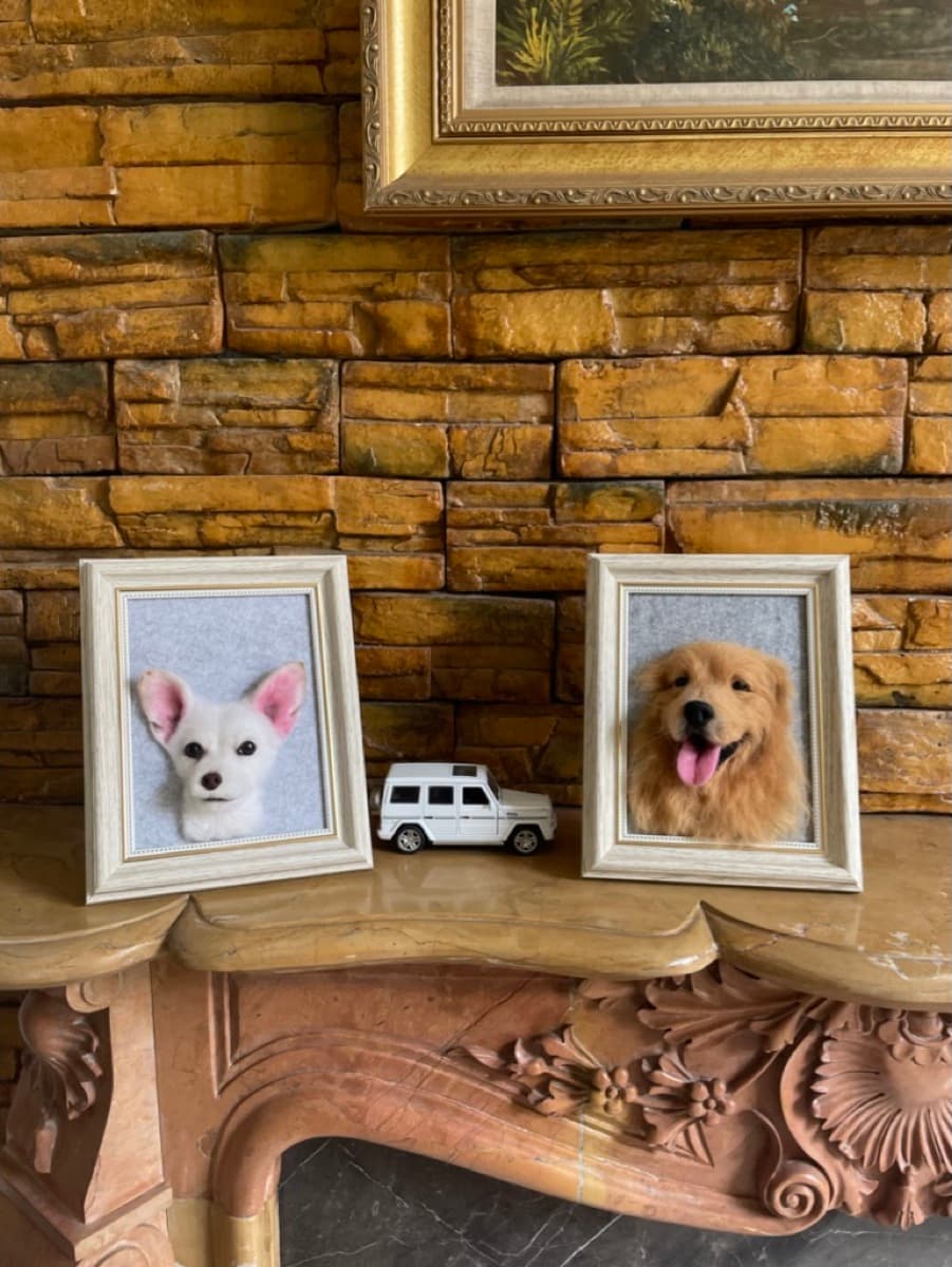 Chihuahua and golden retriever portraits on display