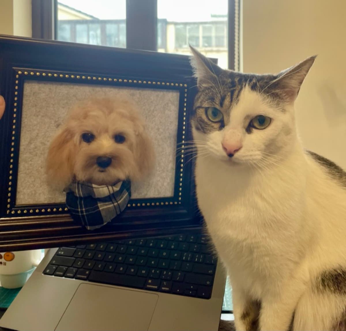 Cockapoo framed portrait with cat