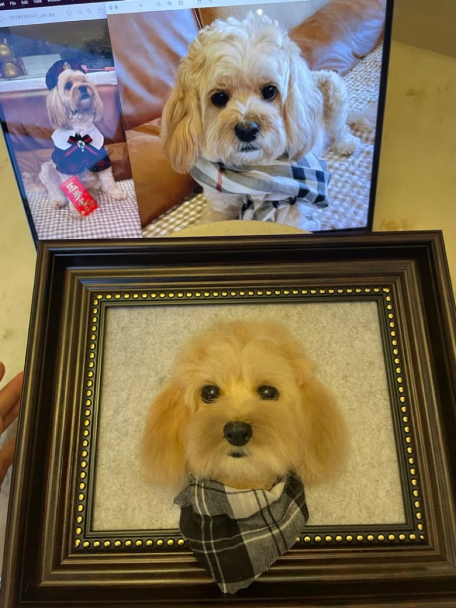 Cockapoo framed portrait with reference photos