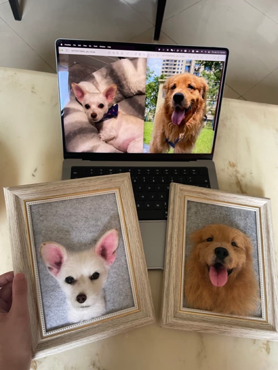 Gray cat sunflower portrait with reference