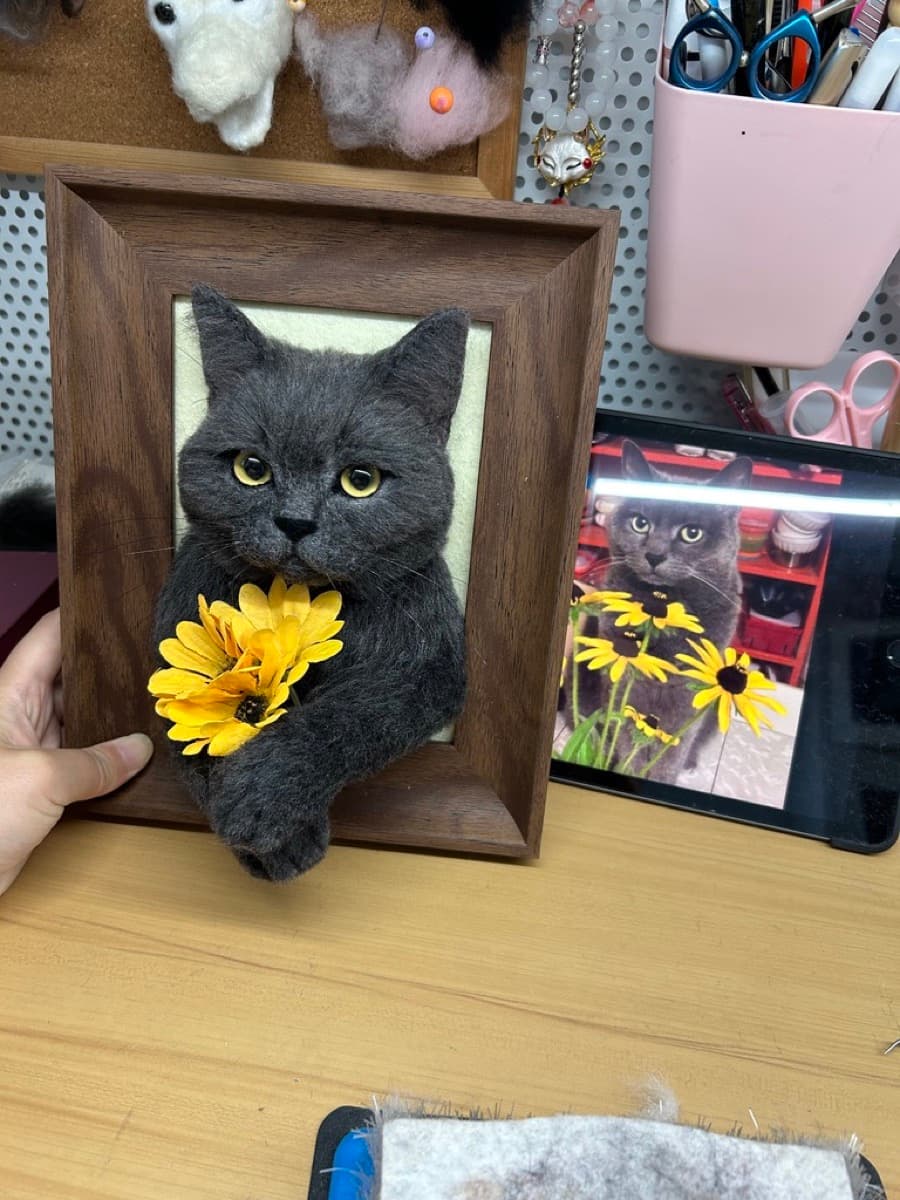 Gray cat with sunflower and reference photo