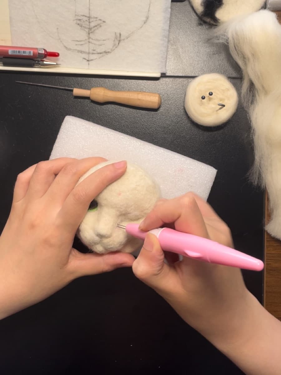 Needling a white cat head
