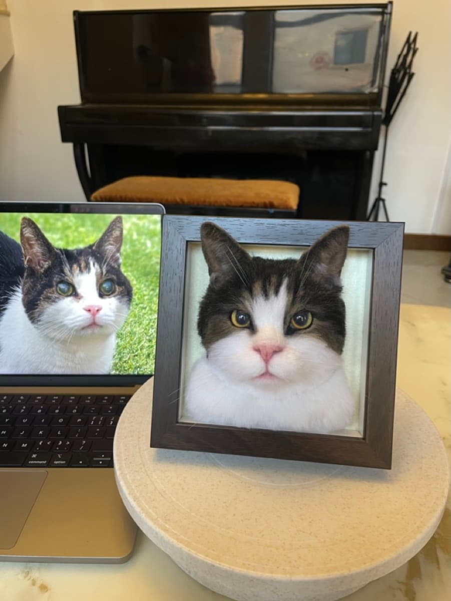 Tabby cat framed portrait with reference photo
