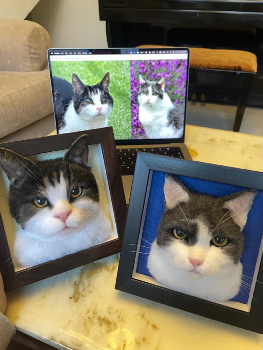 Two tabby cats framed portrait pair