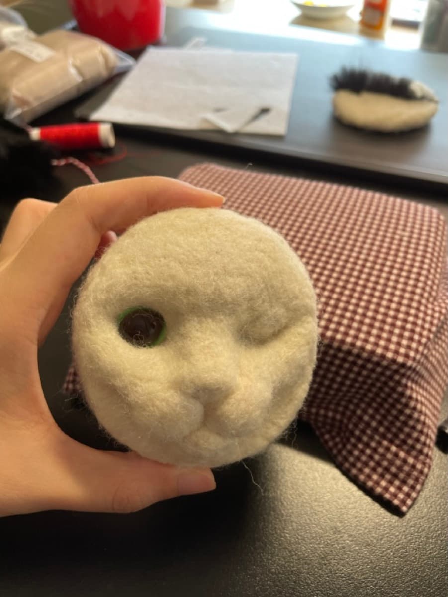 White cat head in early stage
