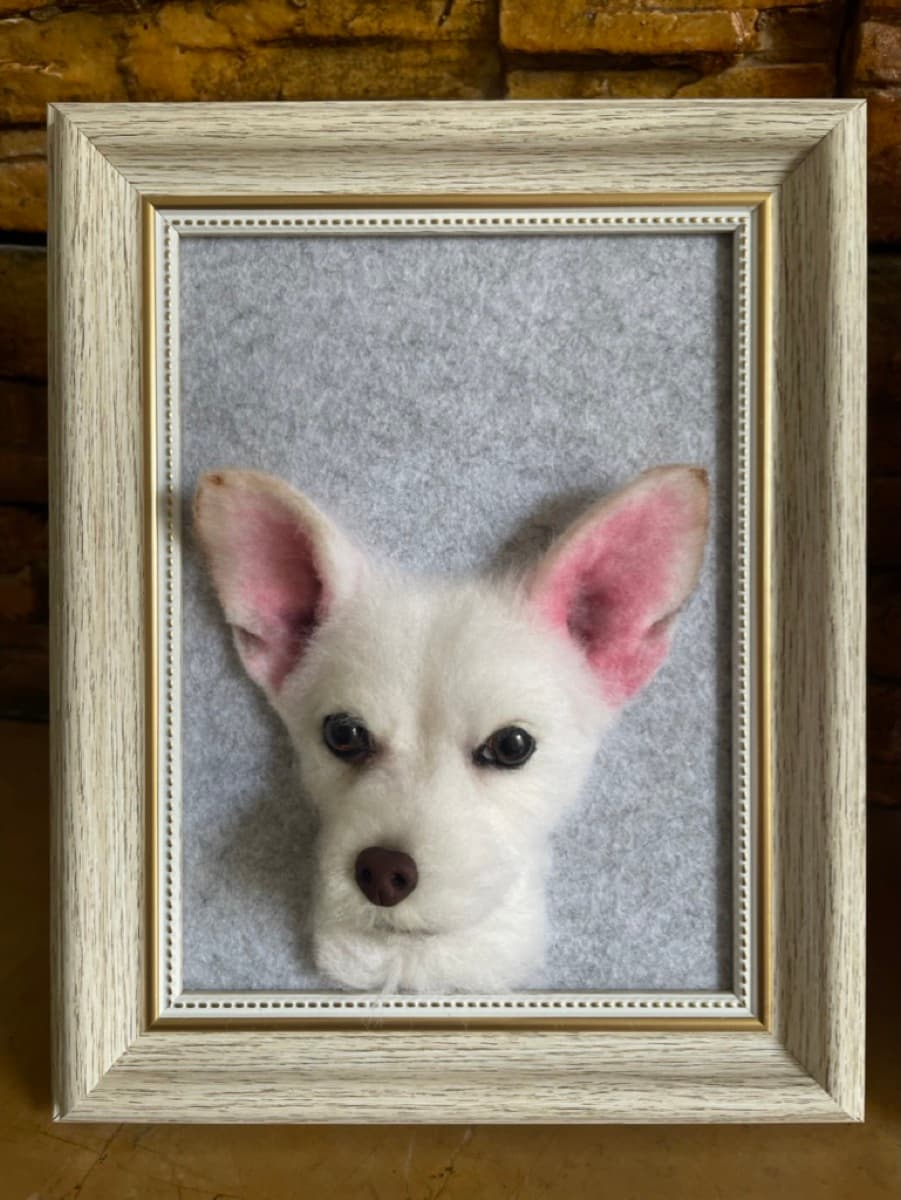 White Chihuahua framed portrait