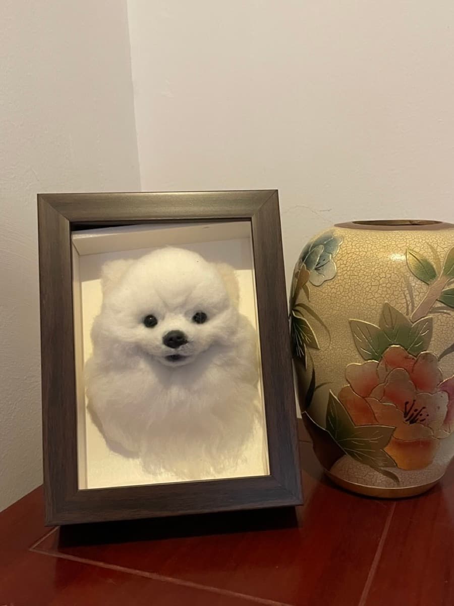 White Pomeranian framed portrait