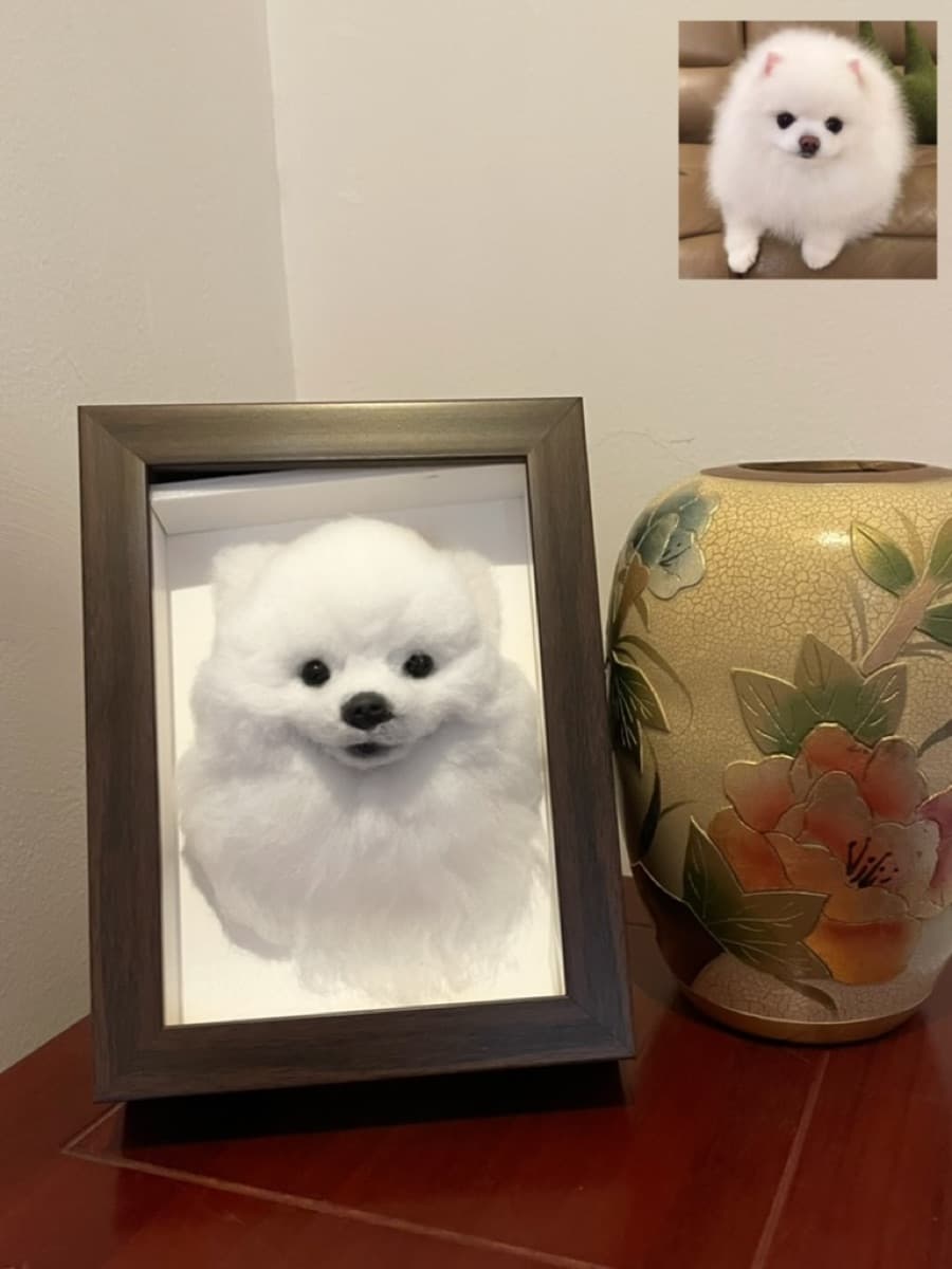 White Pomeranian framed portrait with reference photo